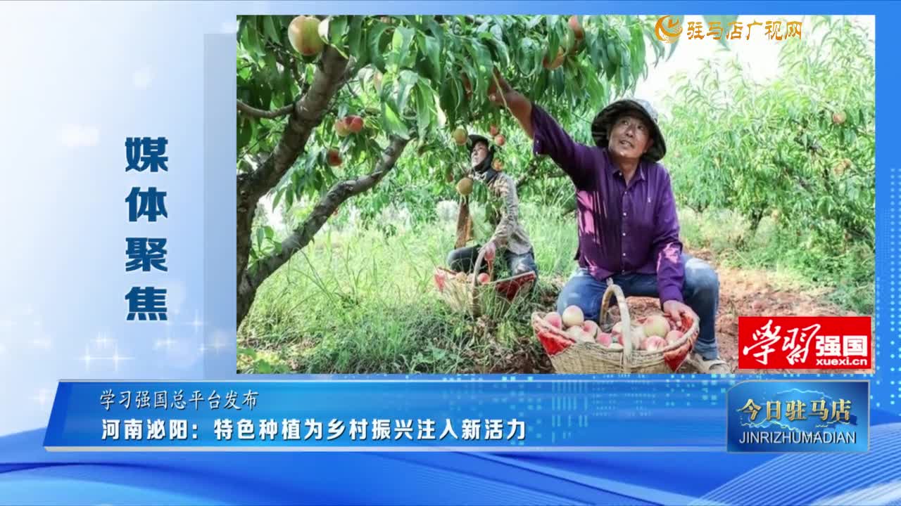 【媒体聚焦】河南泌阳：特色种植为乡村振兴注入新活力......