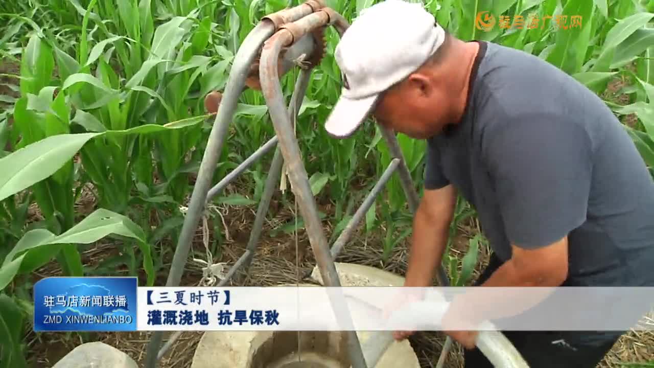 【三夏時(shí)節(jié)】灌溉澆地 抗旱保秋
