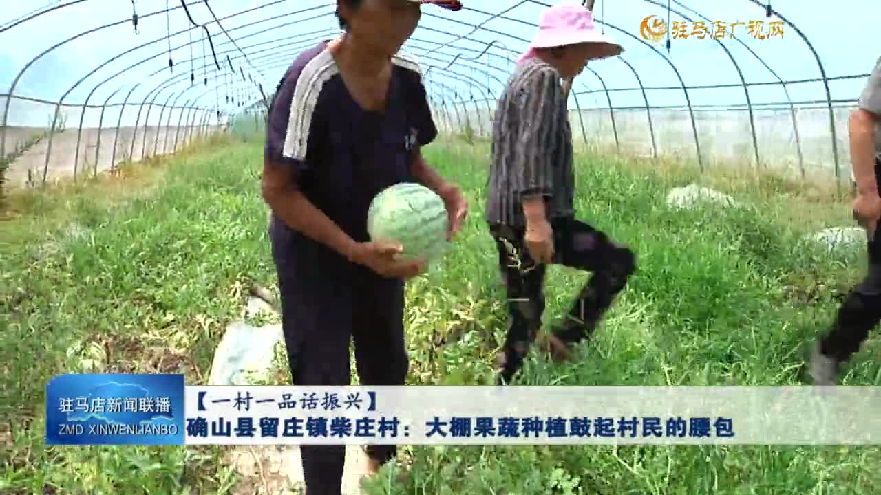 【一村一品話振興】確山縣留莊鎮(zhèn)柴莊村：大棚果蔬種植鼓起村民的腰包