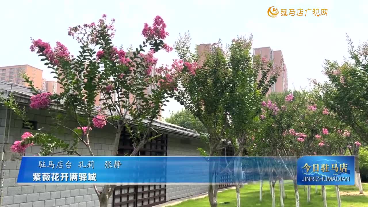 紫薇花開滿驛城