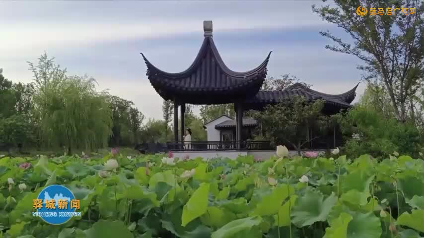 皇家驿站：千年驿路承汉韵 万点荷香染翠裙