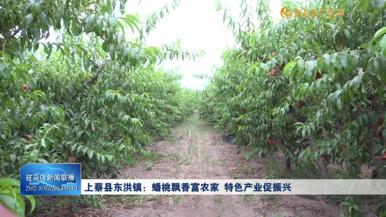 上蔡县东洪镇：蟠桃飘香富农家 特色产业促振兴