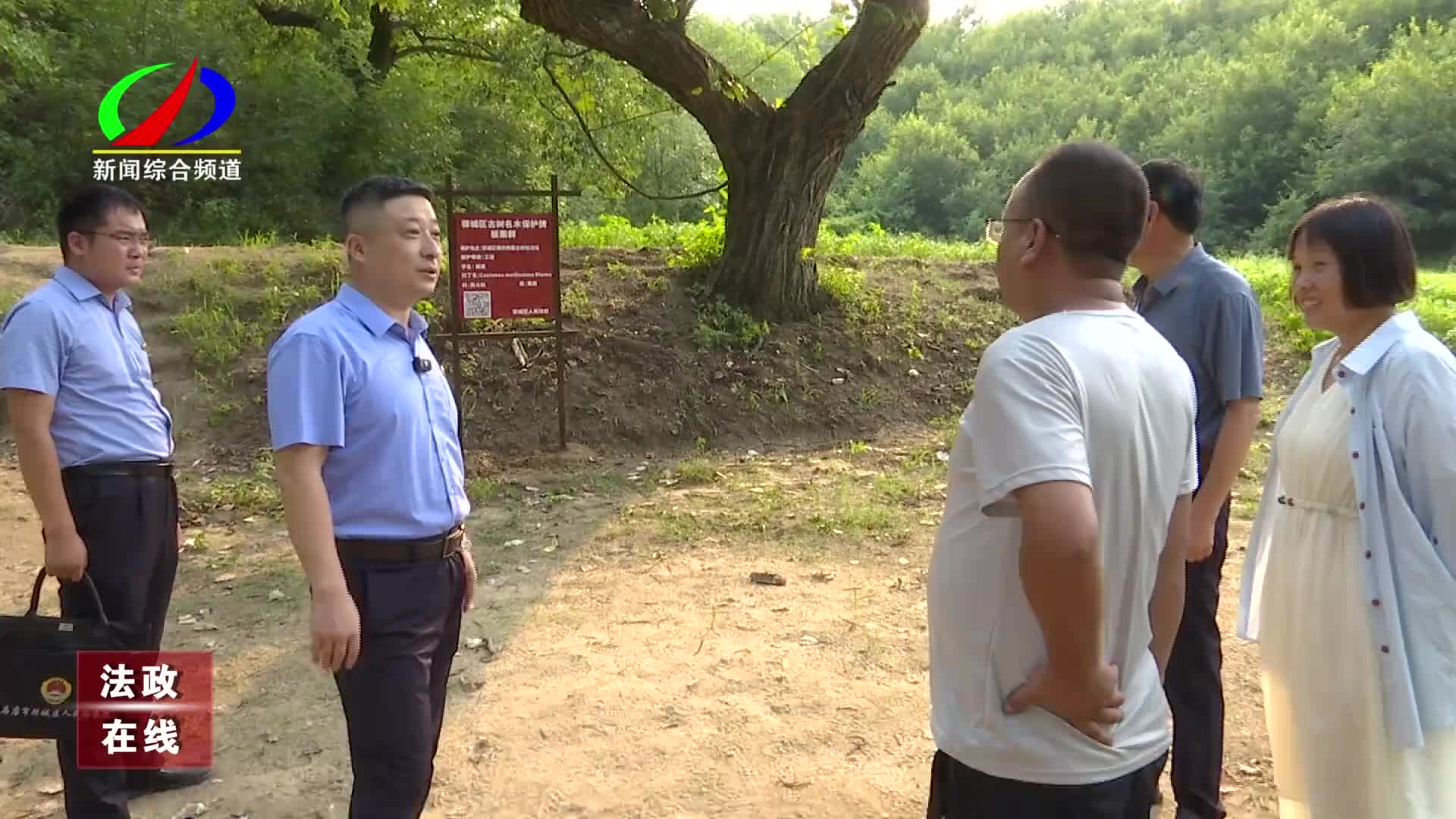 驛城檢察：守護(hù)驛城大地綠色的記憶