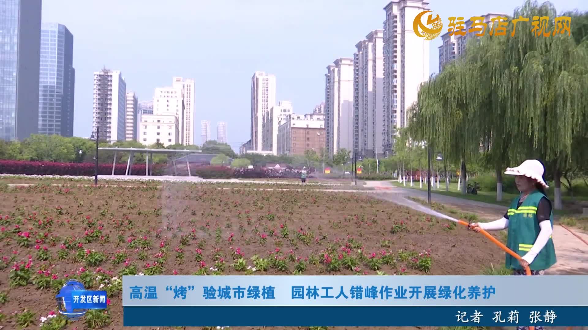高溫“烤”驗(yàn)城市綠植園林工人錯(cuò)峰作業(yè)開(kāi)展綠化養(yǎng)護(hù)