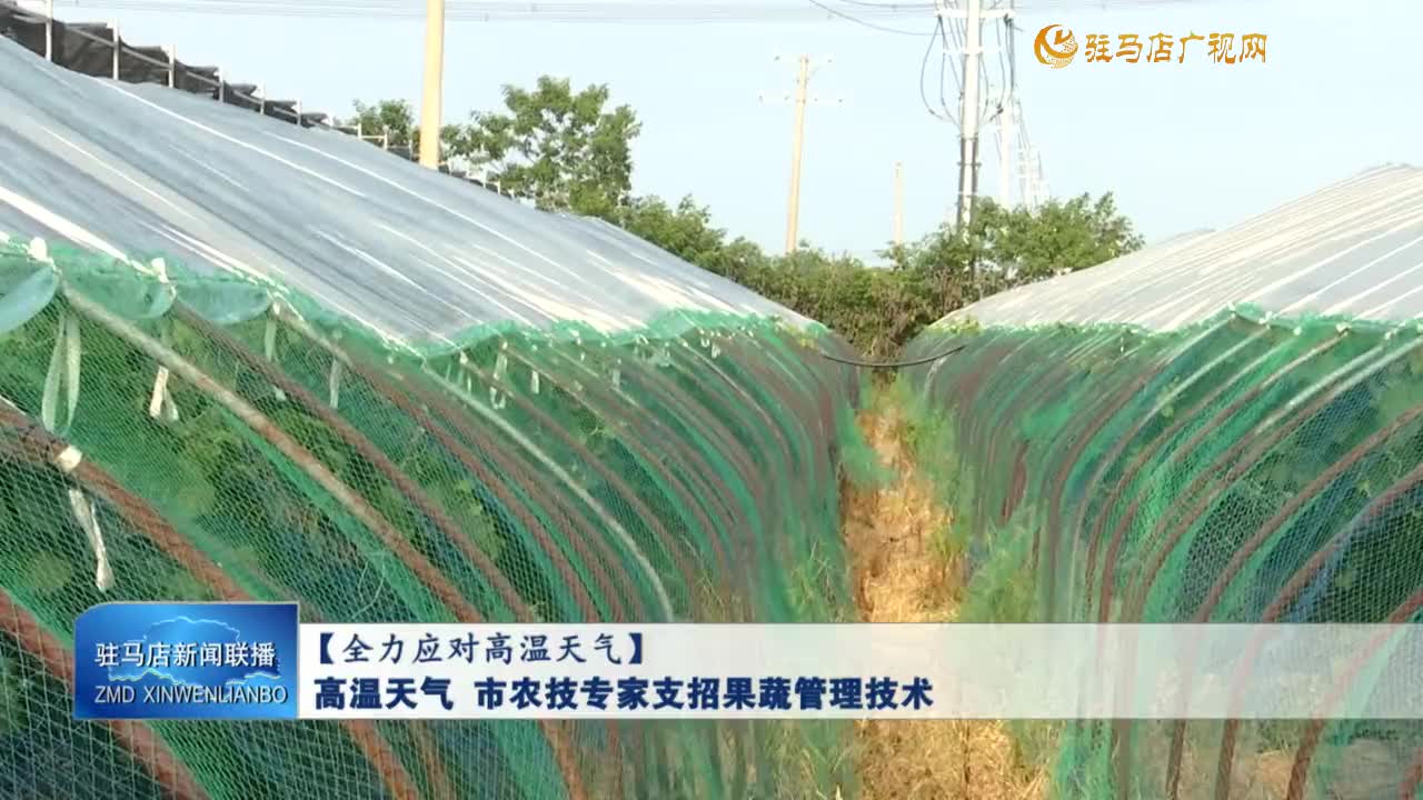 【全力應(yīng)對(duì)高溫天氣】高溫天氣 市農(nóng)技專家支招果蔬管理技術(shù)
