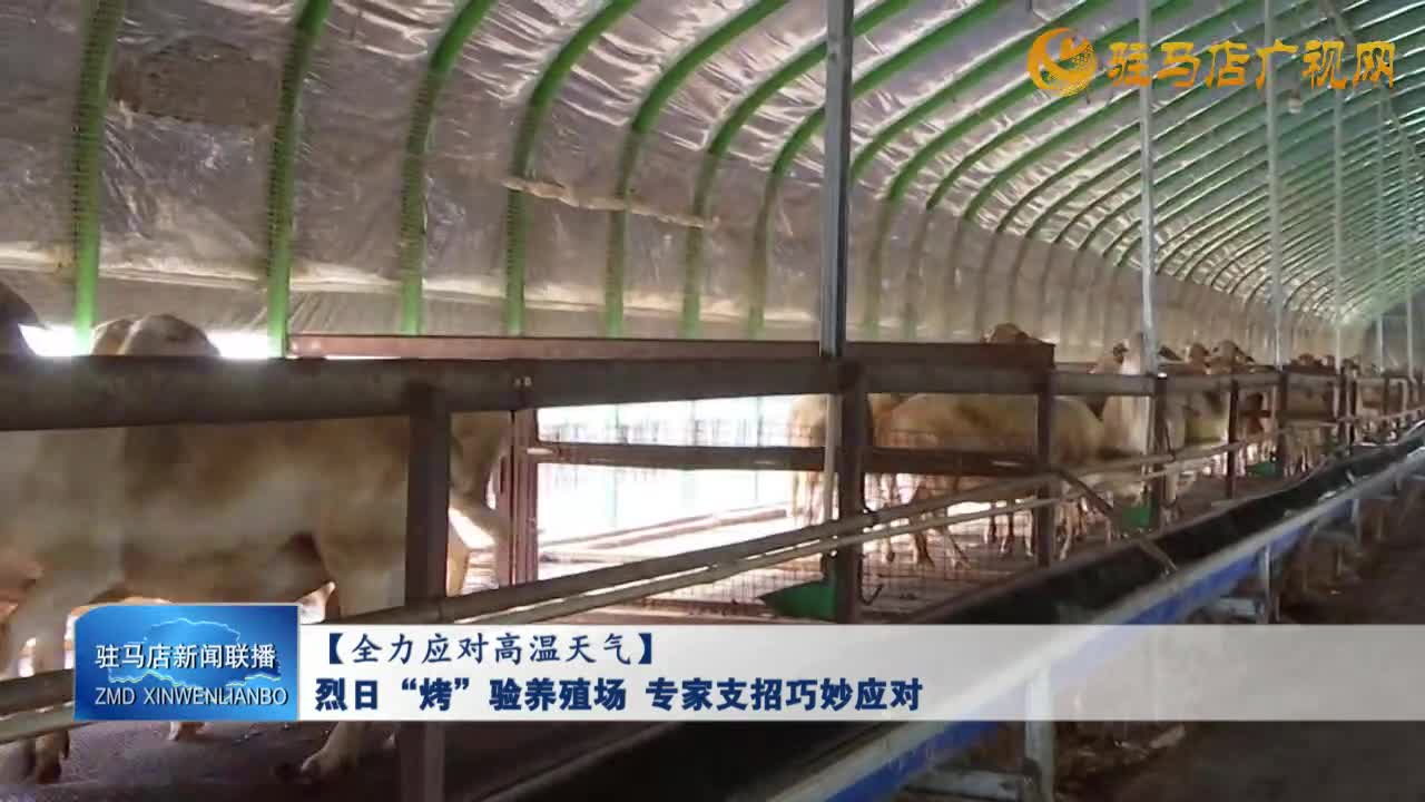 【全力應(yīng)對(duì)高溫天氣】烈日“烤”驗(yàn)養(yǎng)殖場(chǎng) 專家支招巧秒應(yīng)對(duì)