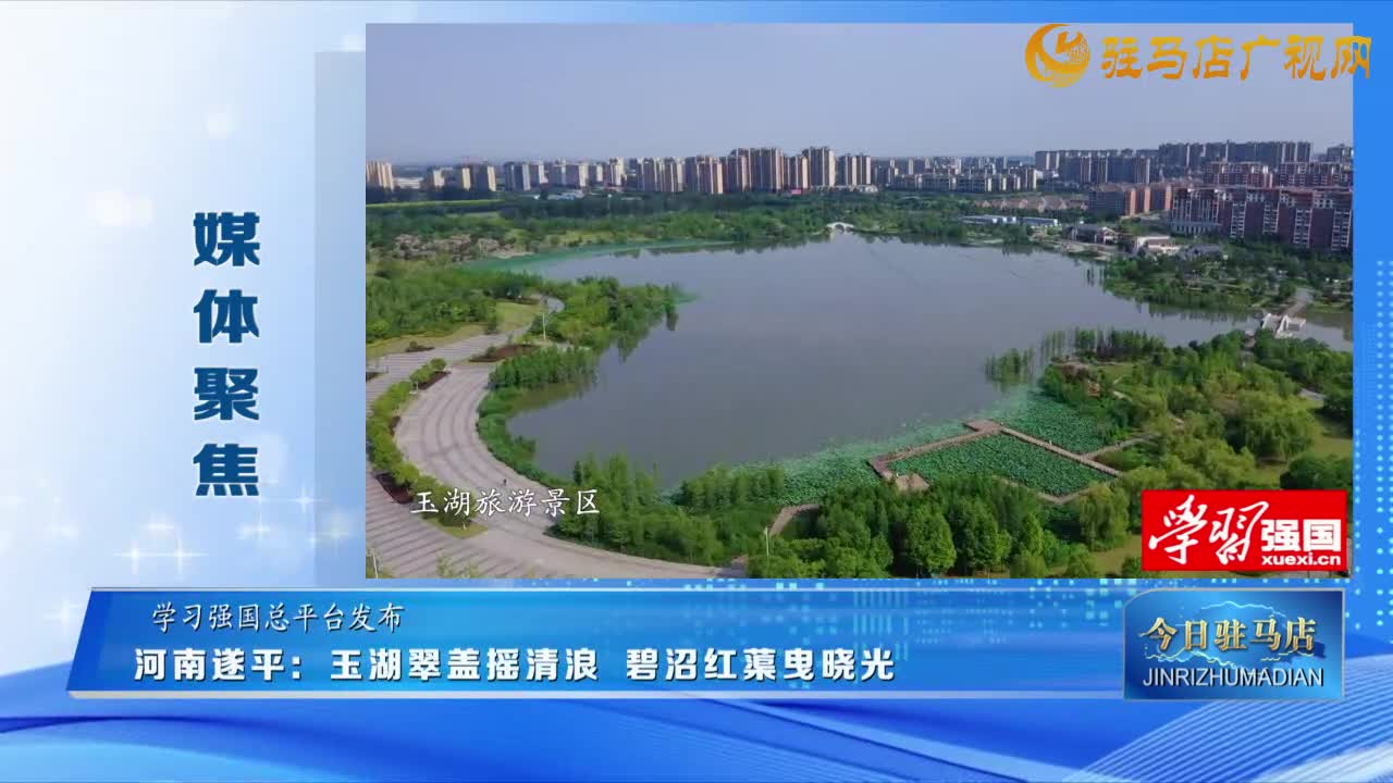【媒體聚焦】河南遂平：玉湖翠蓋搖清浪 碧沼紅蕖曳曉光......