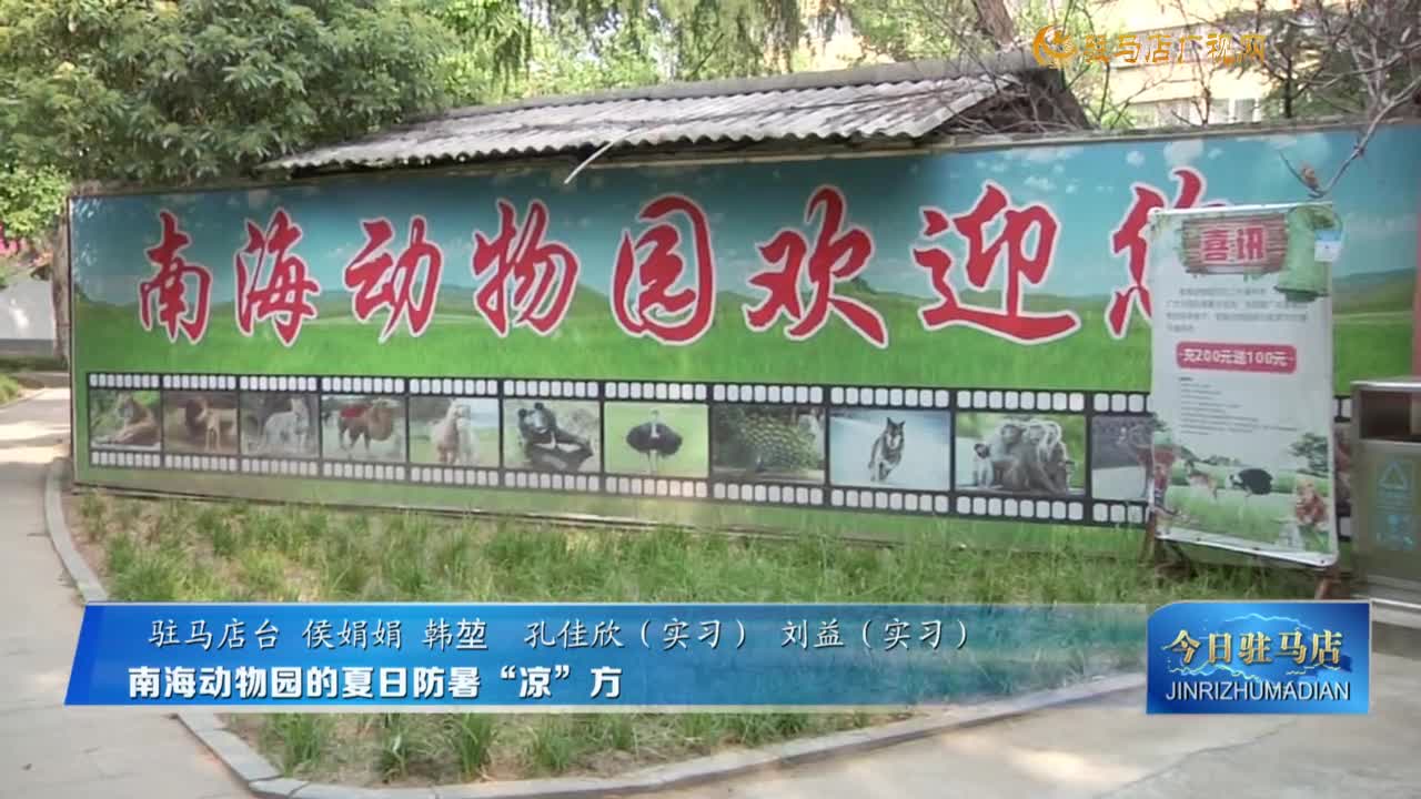 南海动物园的夏日防暑“凉”方