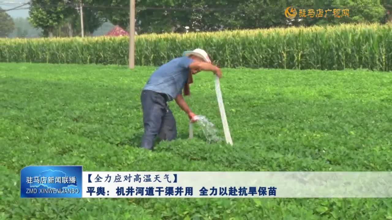 【全力应对高温天气】平舆：机井河道干渠并用 全力以赴抗旱保苗