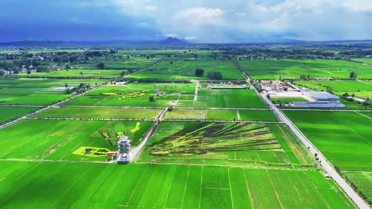 确山县：稻田为“画布”秧苗为墨