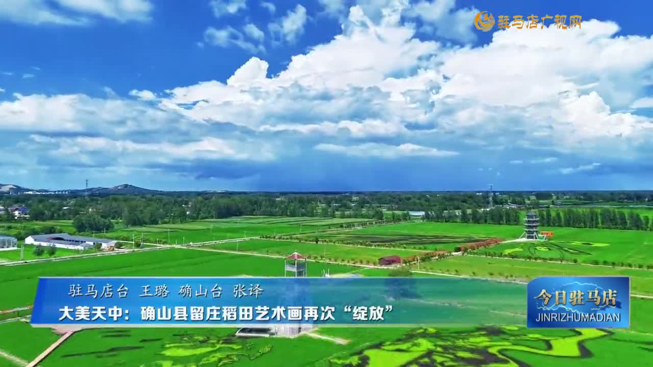 【大美天中】确山县留庄稻田艺术画再次“绽放”