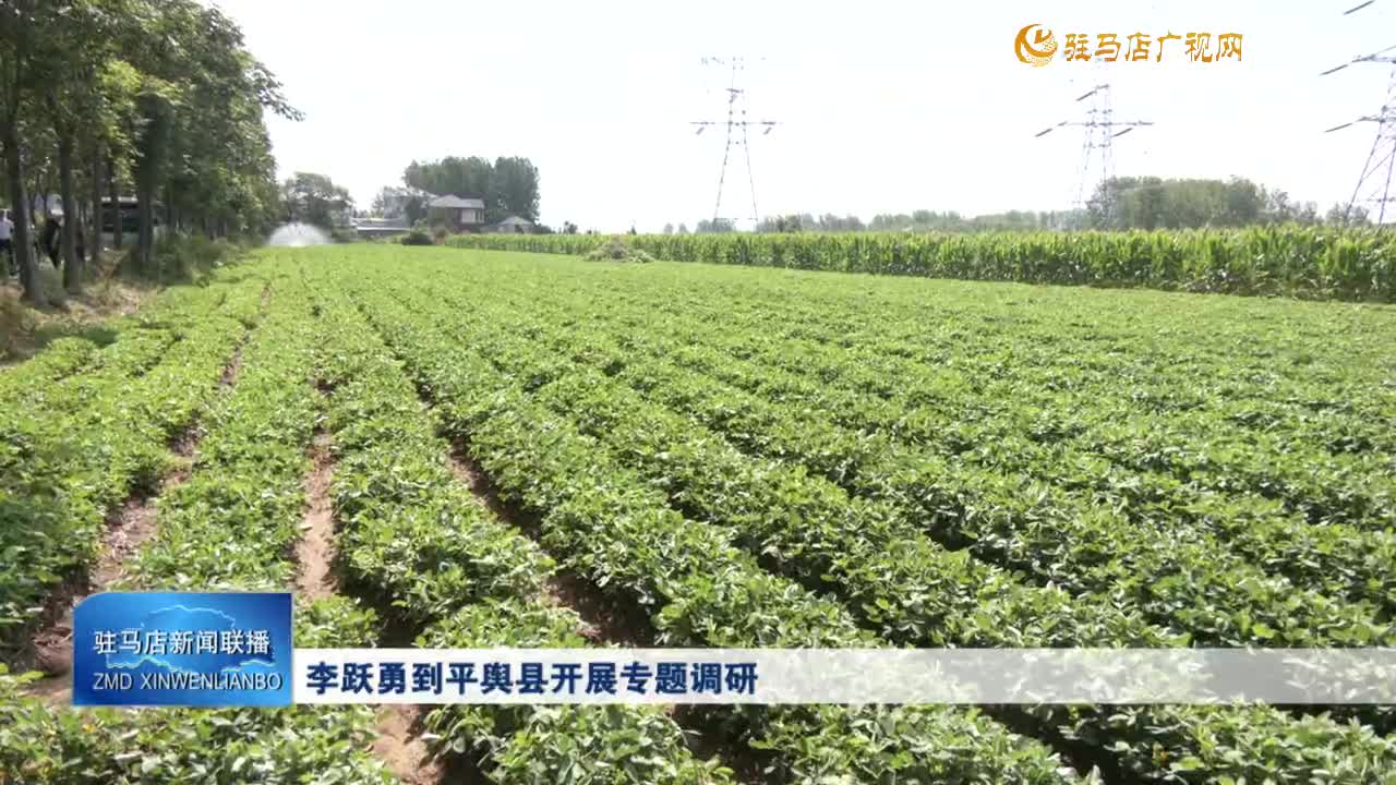 李躍勇到平輿縣開展專題調(diào)研