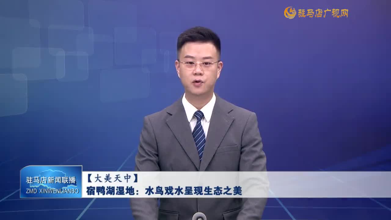 【大美天中】宿鴨湖濕地：水鳥戲水呈現(xiàn)生態(tài)之美