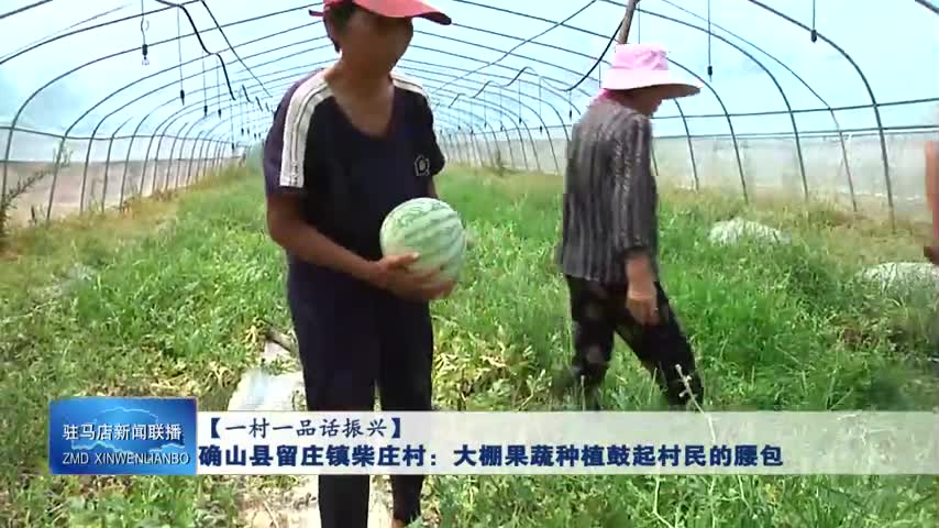确山县留庄镇柴庄村：大棚果蔬种植鼓起村民的腰包