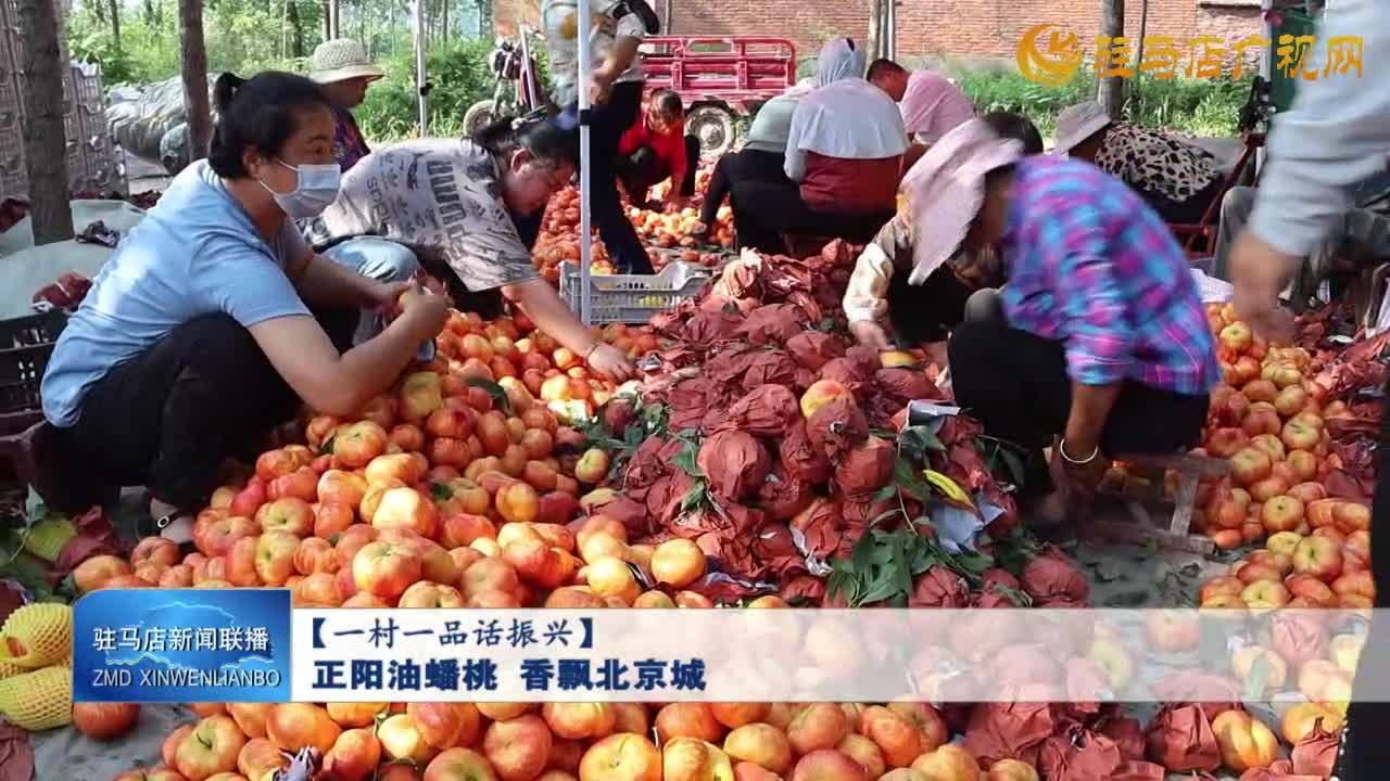 【一村一品话振兴】正阳油蟠桃 香飘北京城