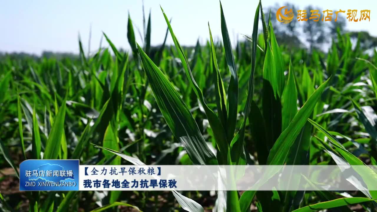 【全力抗早保秋粮】我市各地全力抗旱保秋