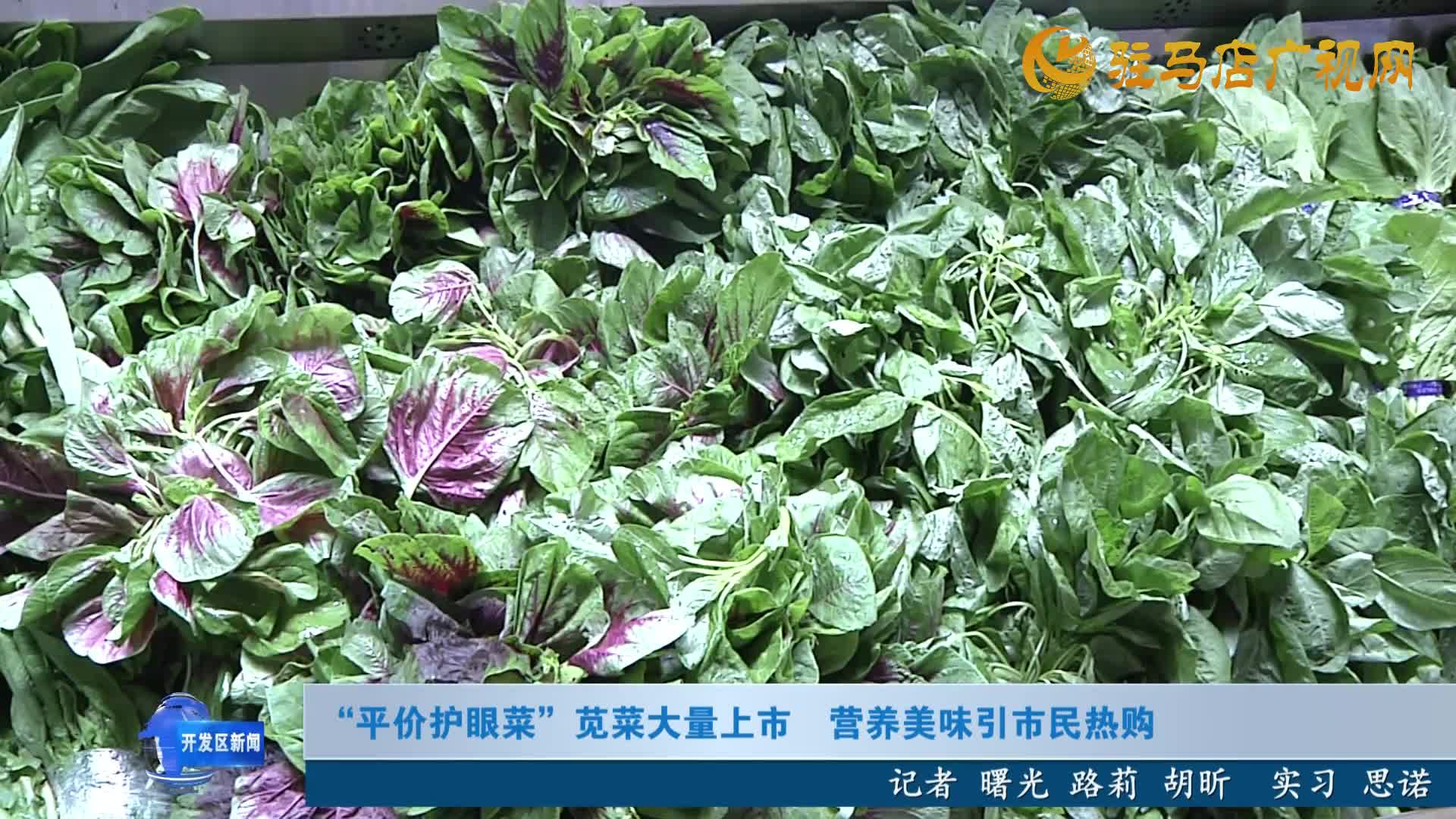 “平價(jià)護(hù)眼菜”莧菜大量上市 營(yíng)養(yǎng)美味引市民熱購(gòu)