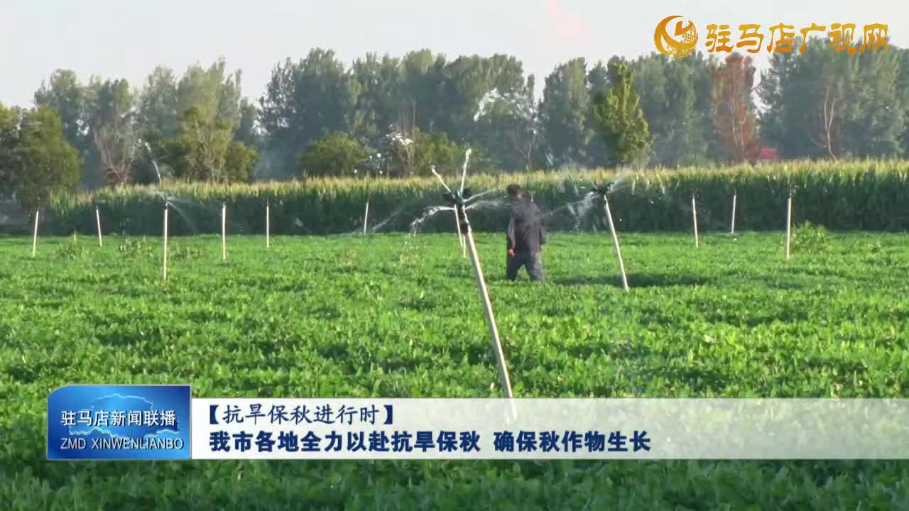 【抗旱保秋进行时】我市各地全力以赴抗旱保秋  确保秋作物生长