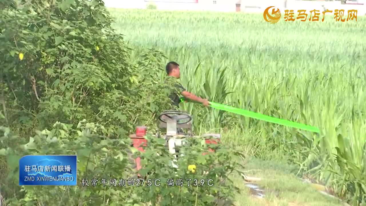 驻马店市气象局发布干旱橙色预警  提醒群众科学抗旱