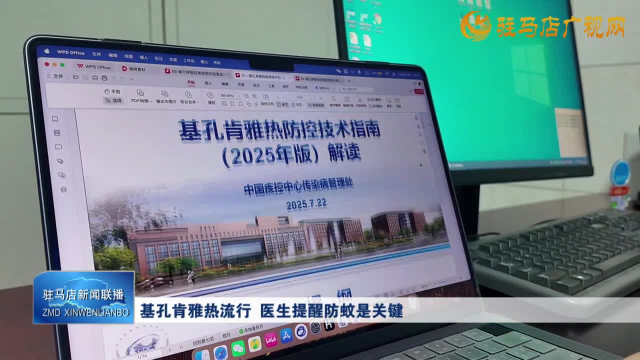 基孔肯雅熱流行 醫(yī)生提醒防蚊是關(guān)鍵