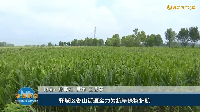 驿城区香山街道全力为抗旱保秋护航