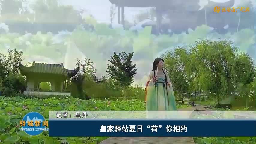 皇家驛站夏日“荷”你相約