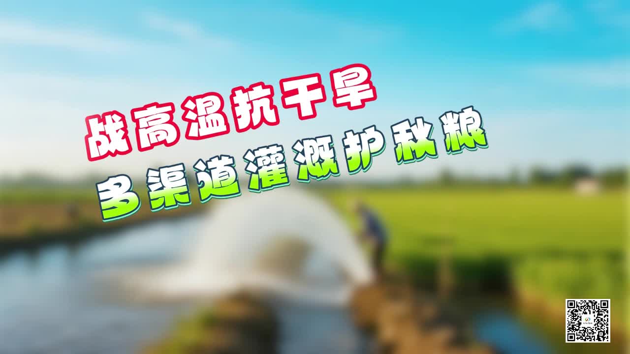 战高温抗干旱 多渠道灌溉护秋粮