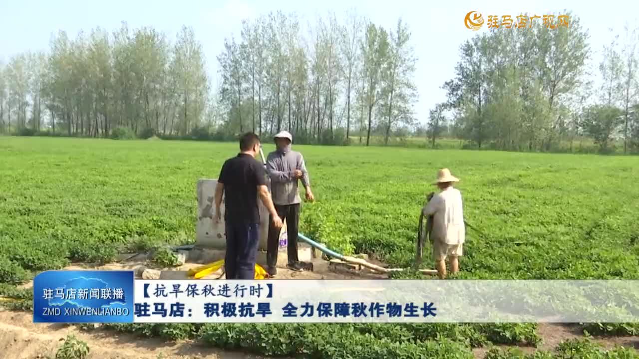 【抗旱保秋進行時】駐馬店：積極抗旱 全力保障秋作物生長