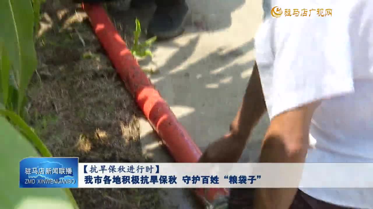 【抗旱保秋進(jìn)行時(shí)】我市各地積極抗旱保秋 守護(hù)百姓“糧袋子”