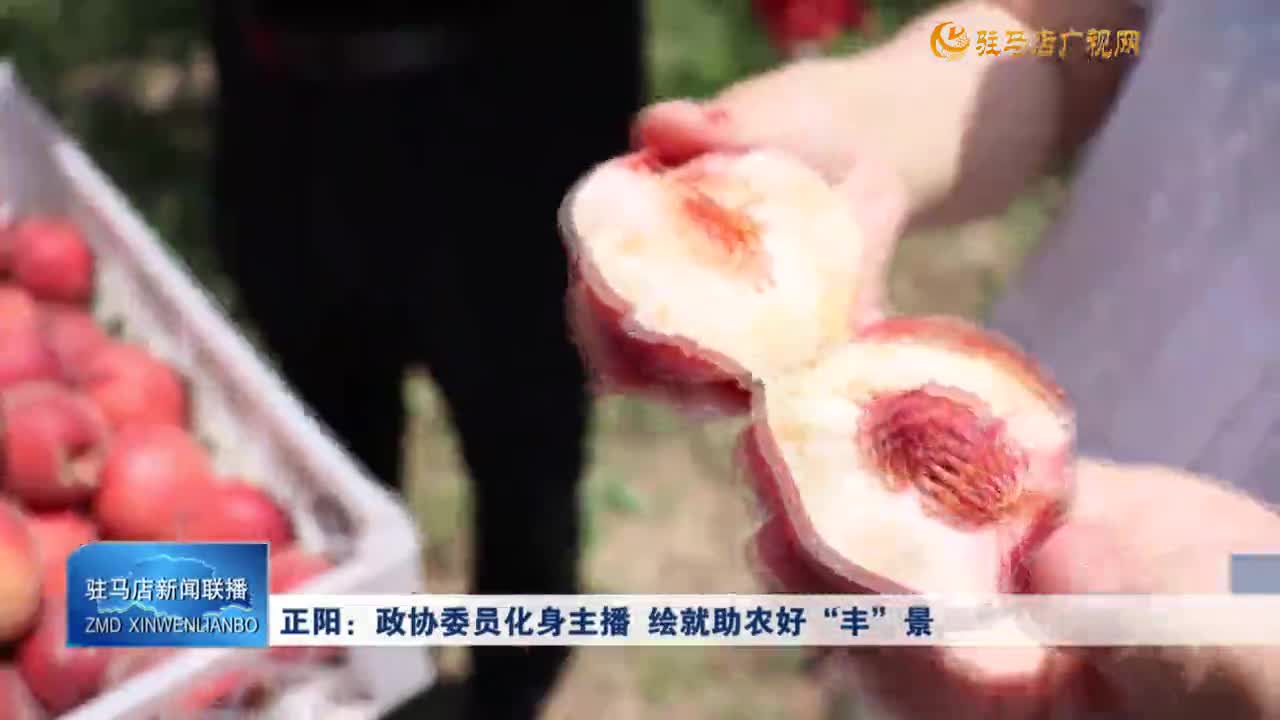 正陽(yáng)：政協(xié)委員化身主播 繪就助農(nóng)好“豐”景
