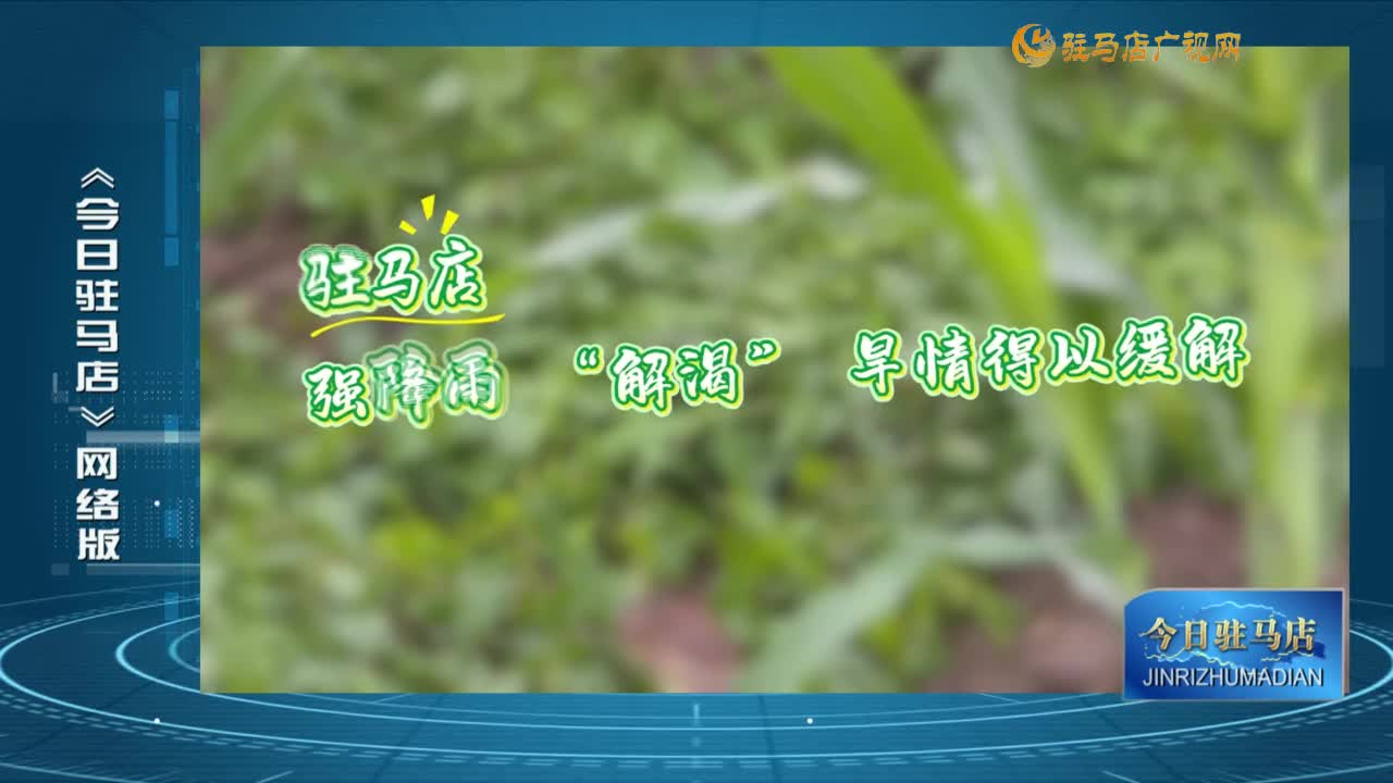 2025.08.11——《今日驻马店》网络版