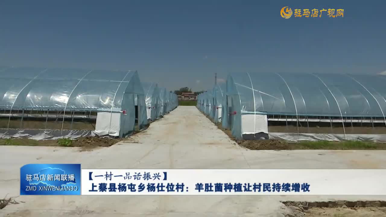 【一村一品話振興】上蔡縣楊屯鄉(xiāng)楊仕位村：羊肚菌種植讓村民持續(xù)增收