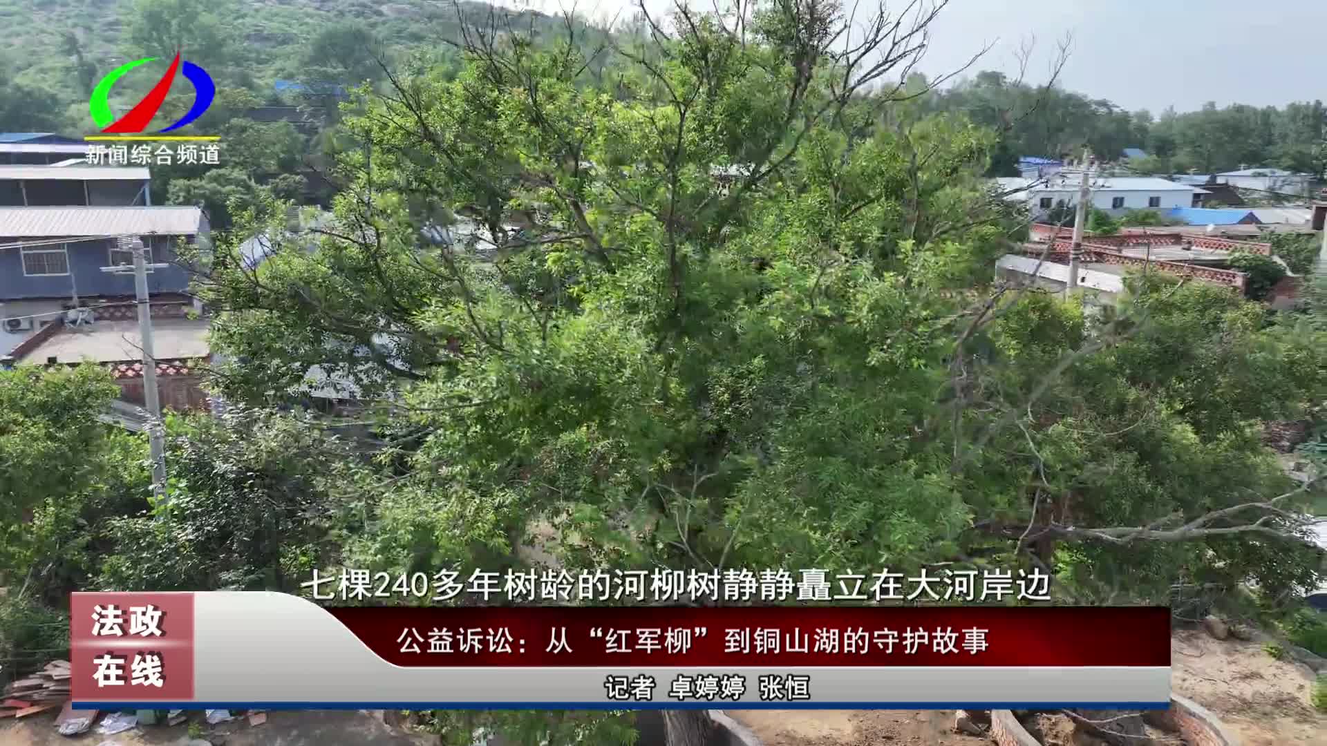 公益訴訟：從“紅軍柳”到銅山湖的守護故事