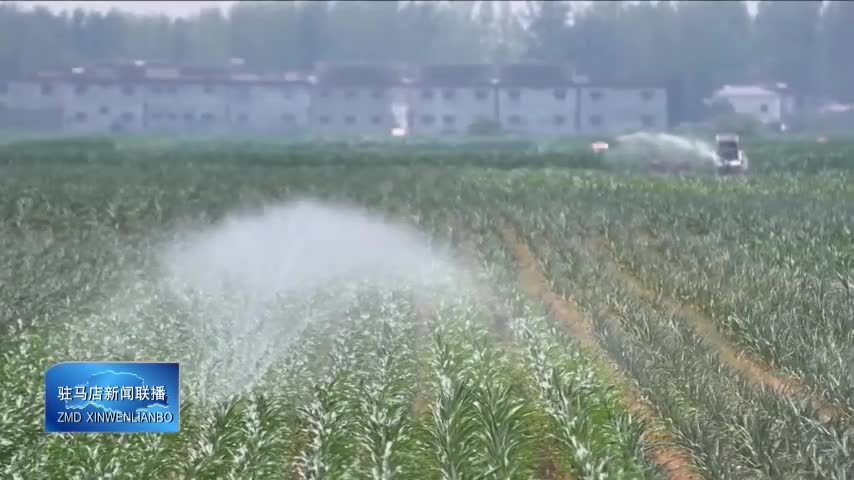 我市各地全力以赴抗旱保秋  確保秋作物生長