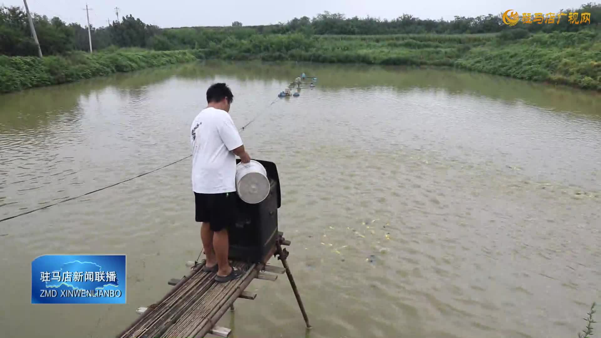 泌陽縣賒灣鎮(zhèn)：觀賞魚養(yǎng)殖助農(nóng)增收