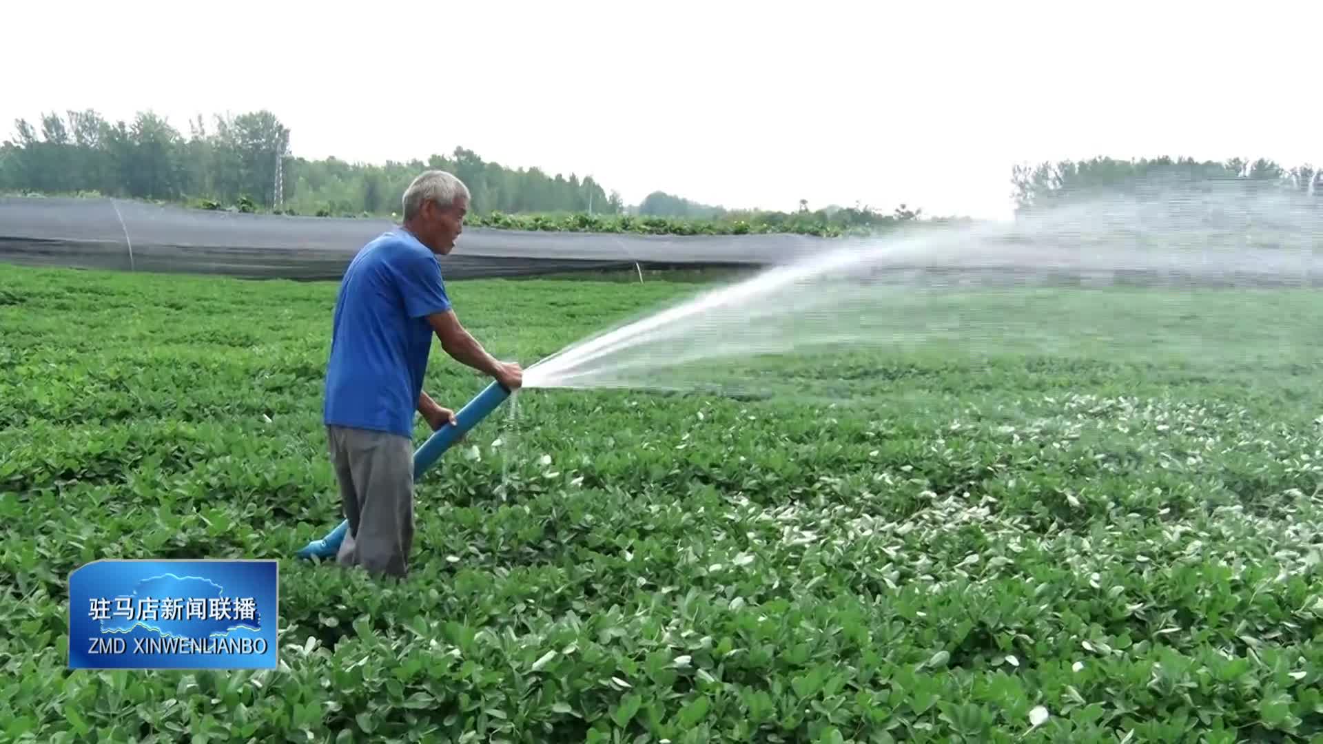 我市各地抗旱补墒 保障秋粮生产安全