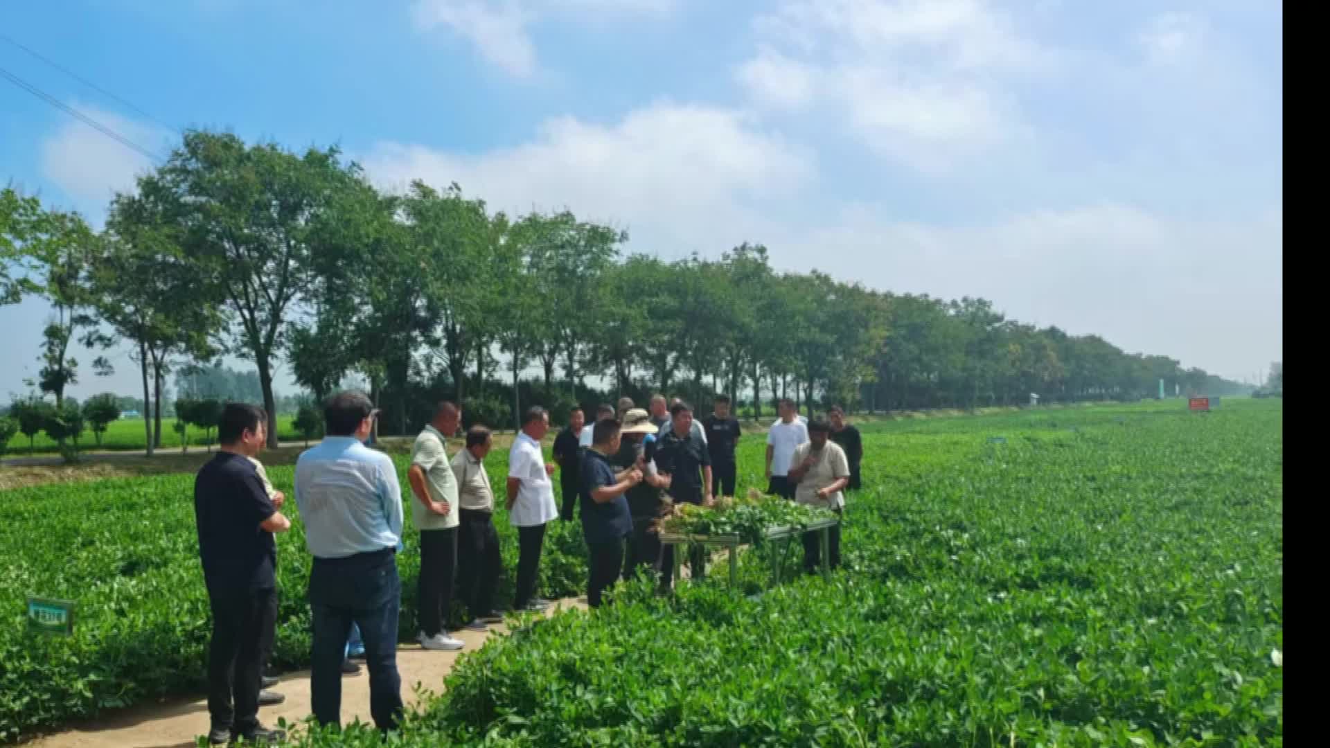 全省玉米花生滴灌水肥一体化技术现场观摩 暨网络培训班在我市成功举办