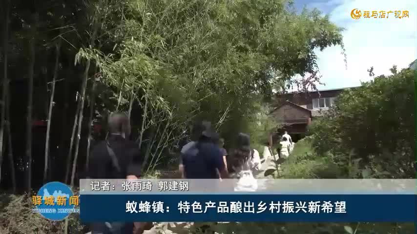 蟻蜂鎮(zhèn)：特色產(chǎn)品釀出鄉(xiāng)村振興新希望