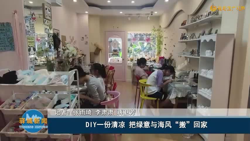 DIY一份清涼?把綠意與海風(fēng)“搬”回家