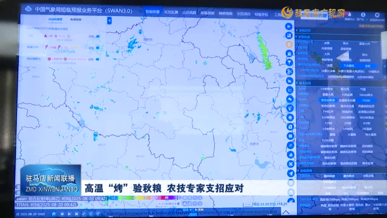 高溫“烤”驗(yàn)秋糧 農(nóng)技專家支招應(yīng)對