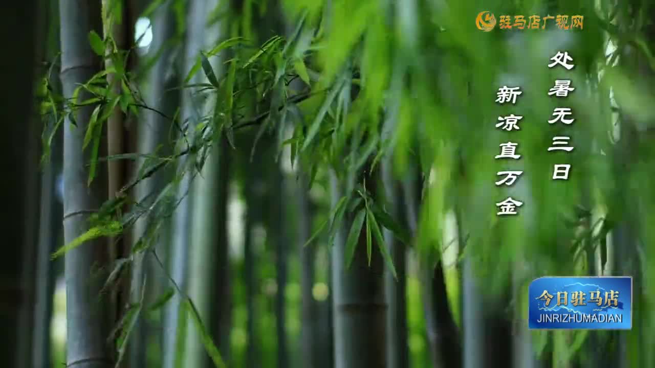 今日處暑