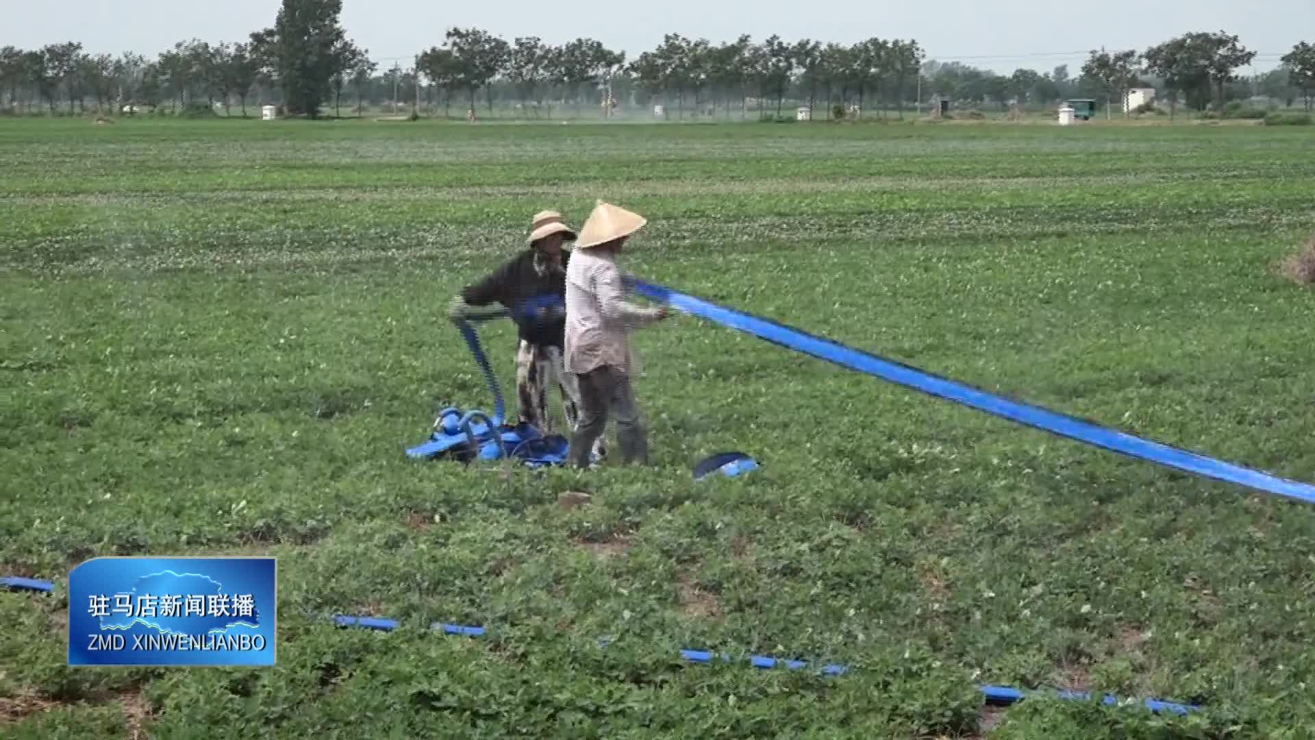 	 灌溉浇地 抗旱保秋
