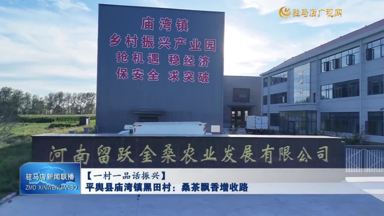 【一村一品話振興】平輿縣廟灣鎮(zhèn)黑田村：桑茶飄香增收路