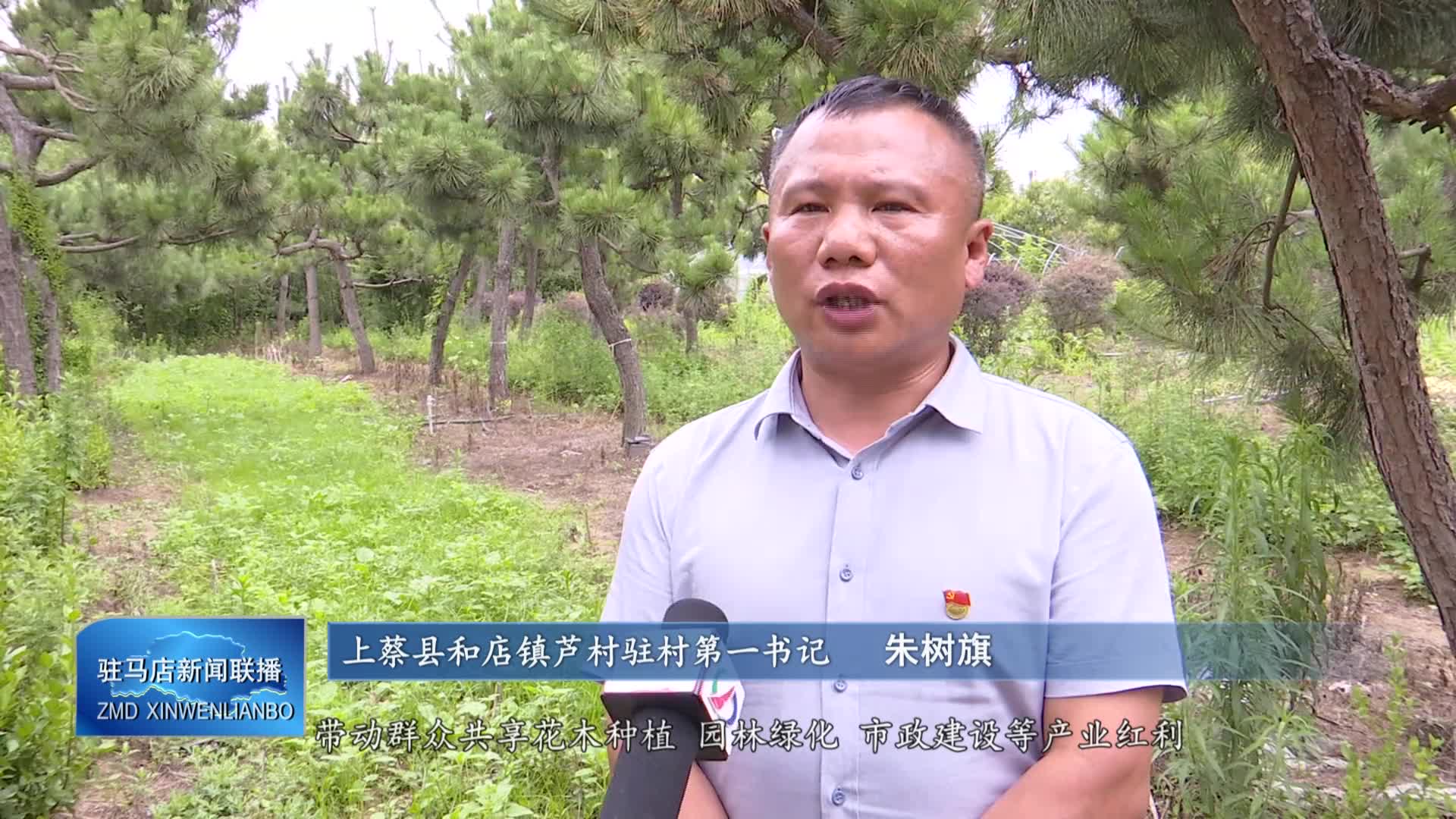 上蔡县和店镇芦村：花木种植鼓起村民腰包