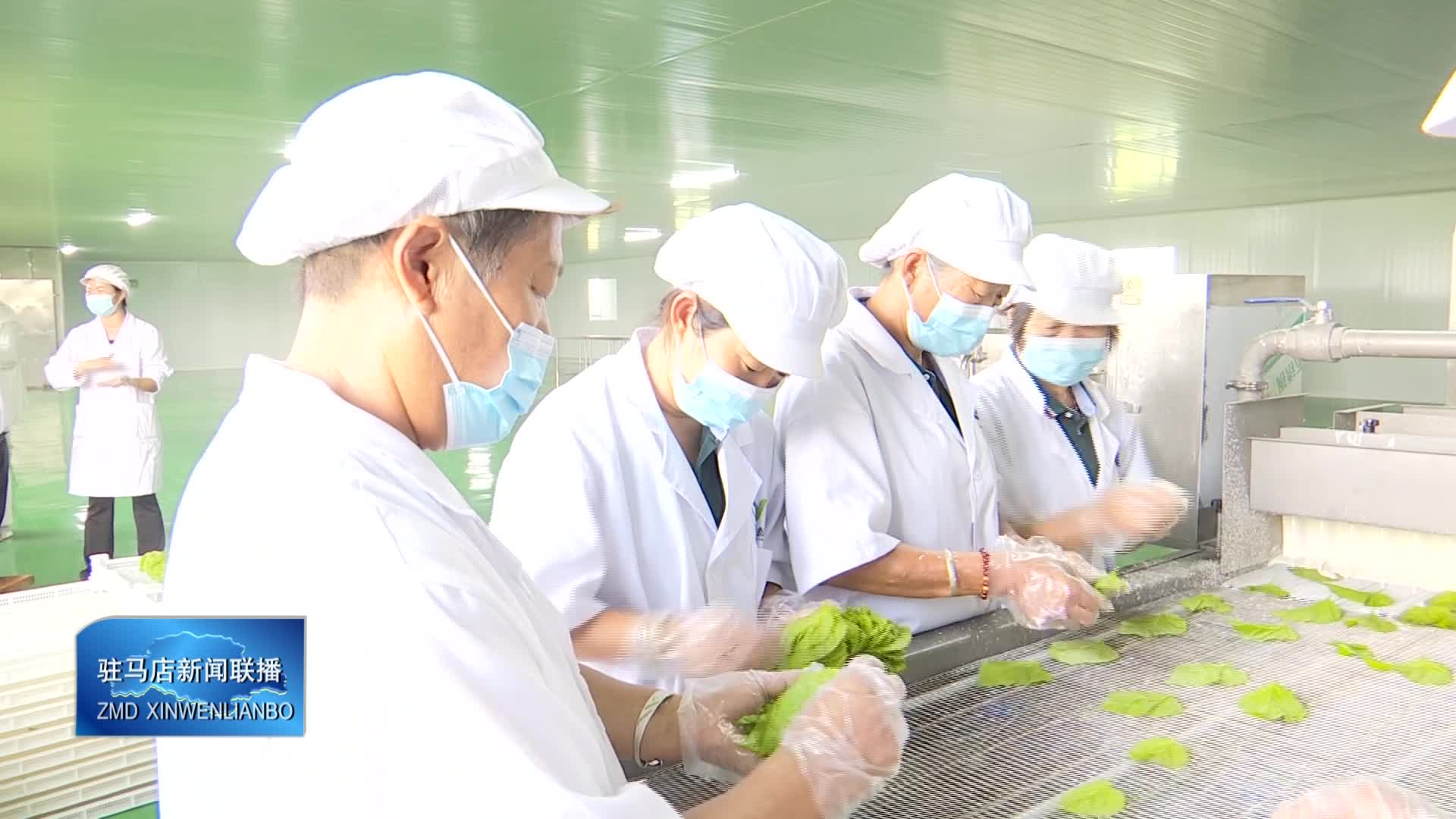 【驻马店新闻联播】平舆县庙湾镇黑田村：桑茶飘香增收路