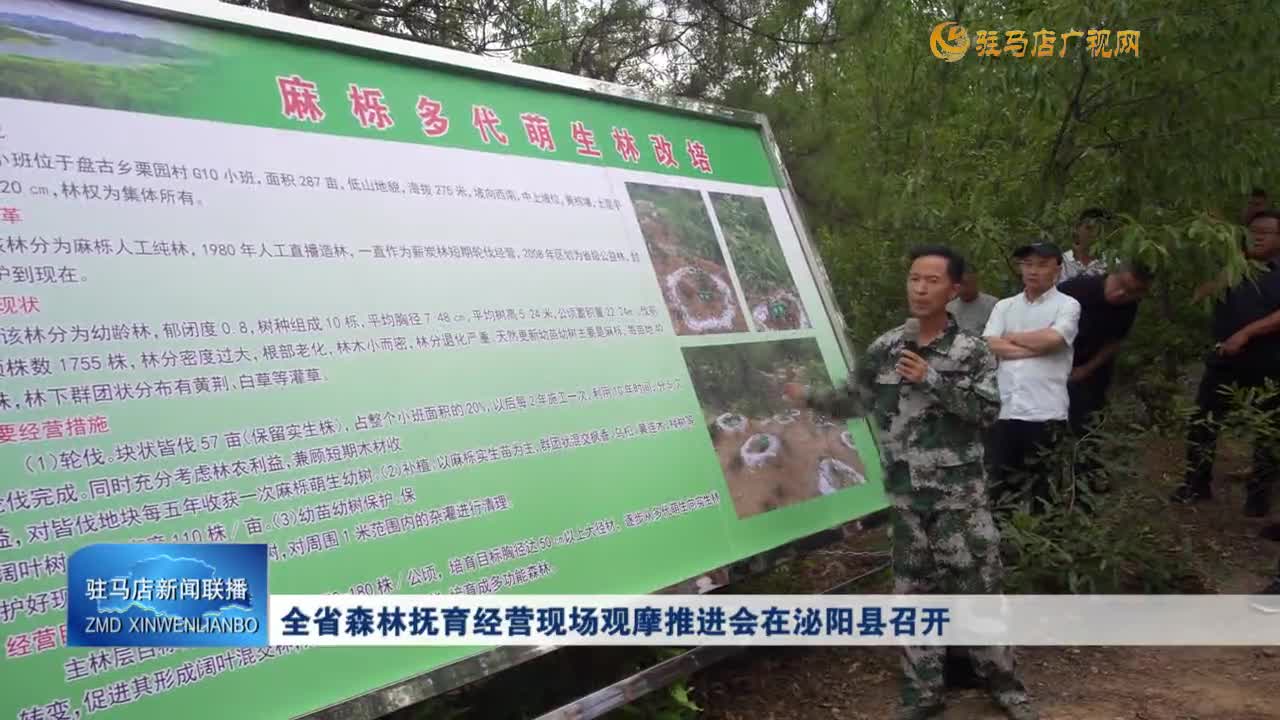 全省森林撫育經營現(xiàn)場觀摩推進會在泌陽縣召開