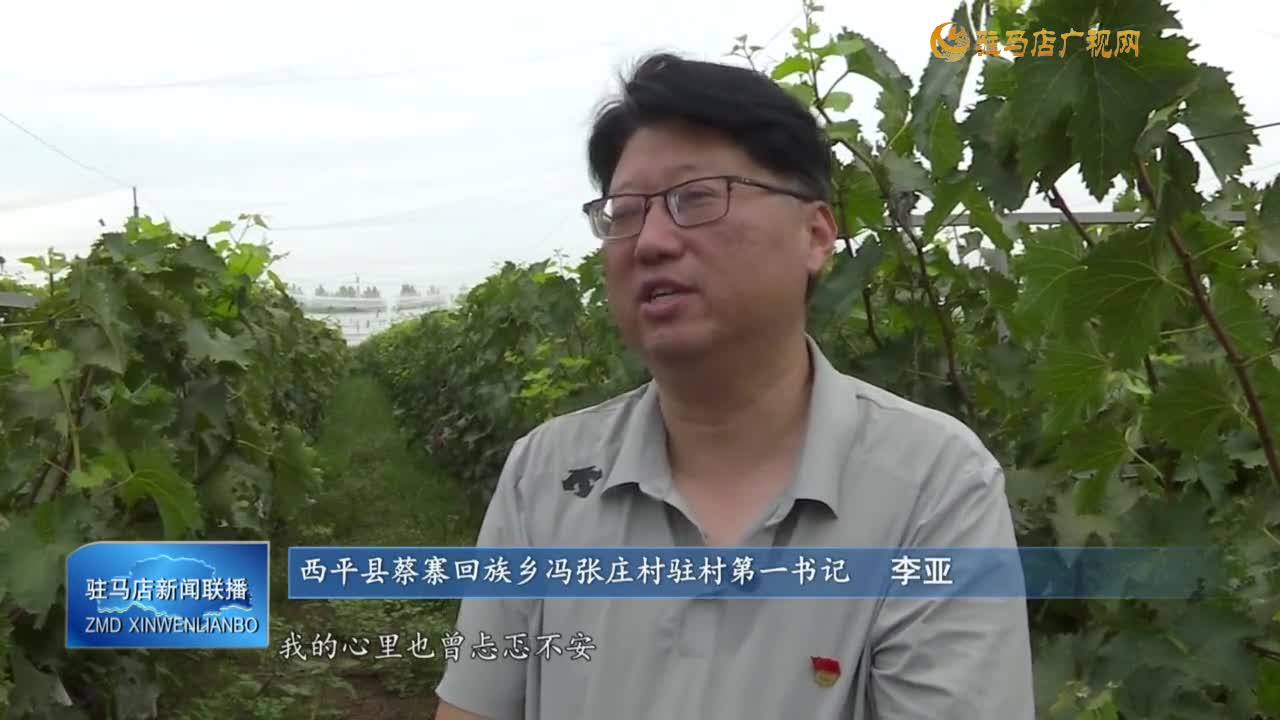 【黨旗在基層一線高高飄揚(yáng)】李亞：以心“駐”村 讓信任照亮振興路