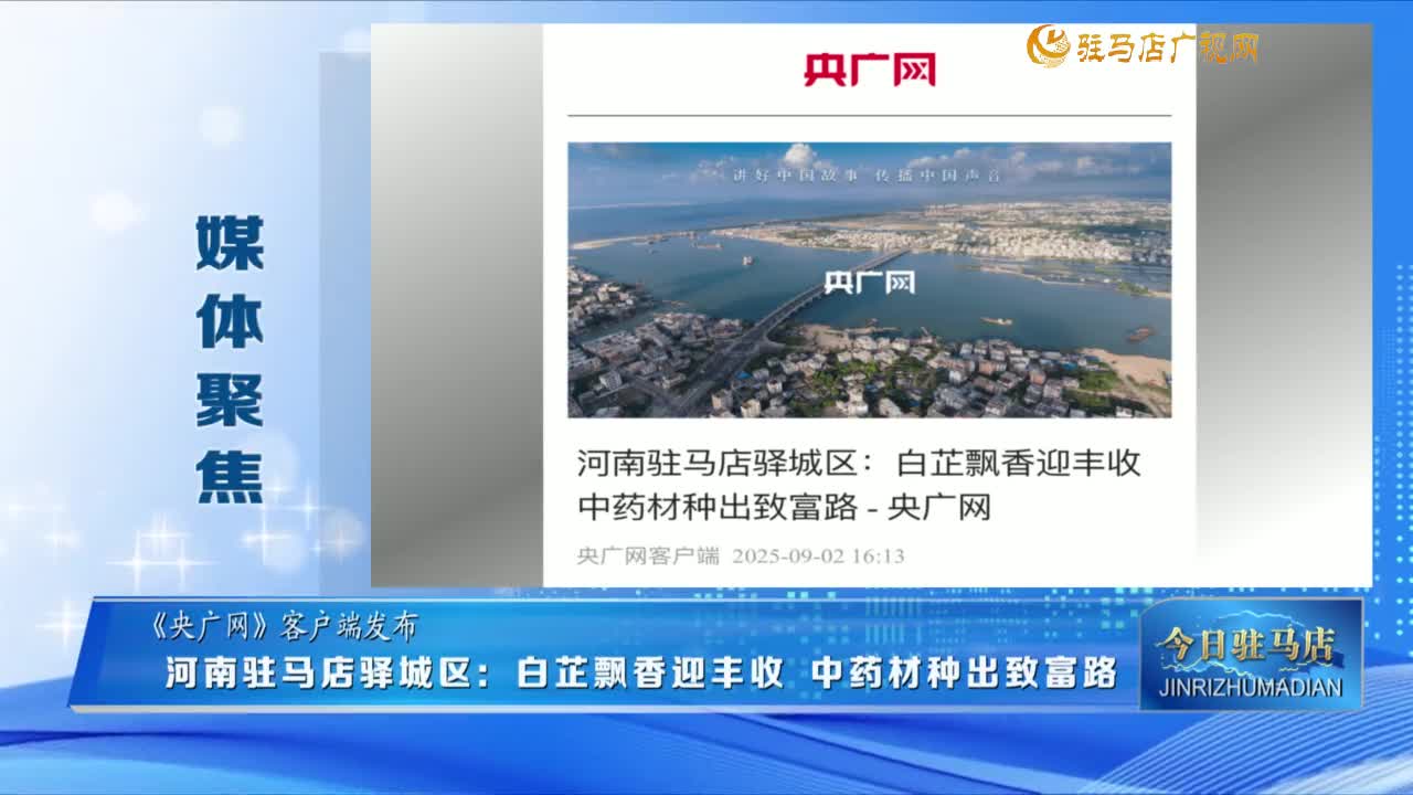 【媒體聚焦】河南駐馬店驛城區(qū)：白芷飄香迎豐收 中藥材種出致富路......