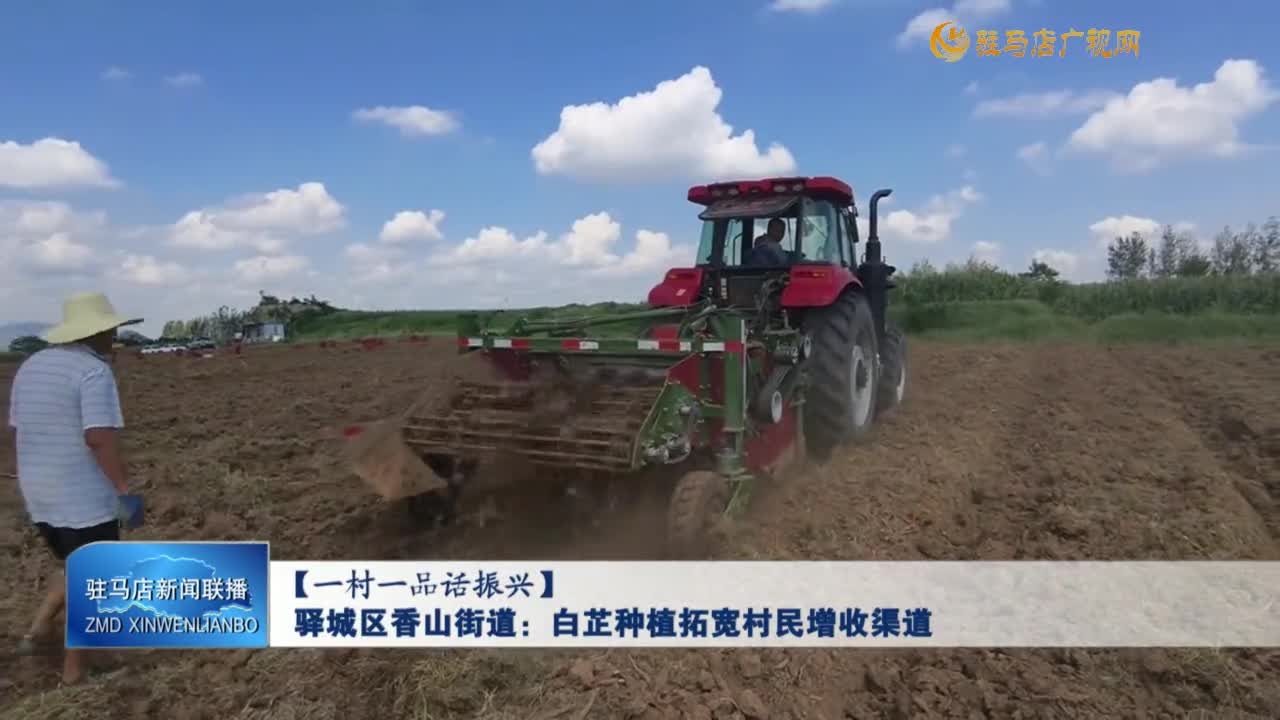 【一村一品话振兴】驿城区香山街道：白芷种植拓宽村民增收渠道