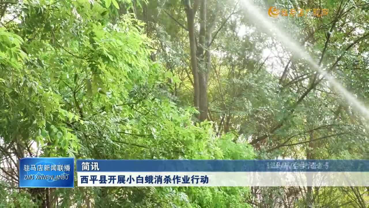 西平縣開展小白蛾消殺作業(yè)行動